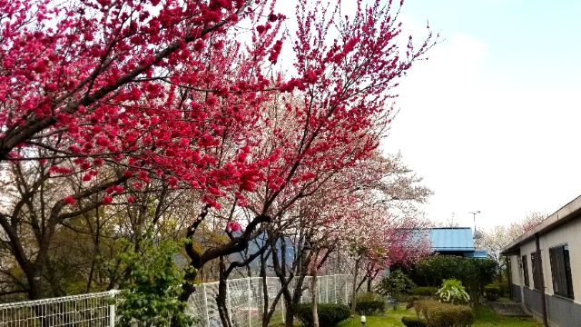 施設画像