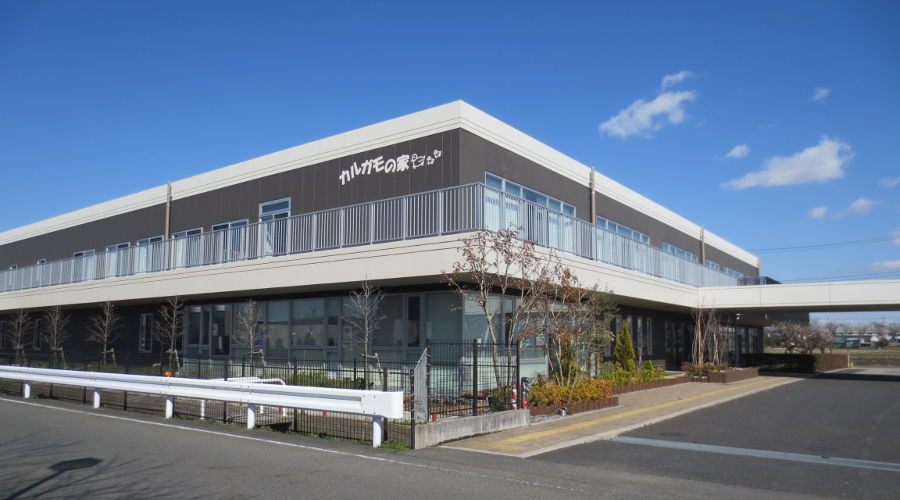 カルガモの家外観です。