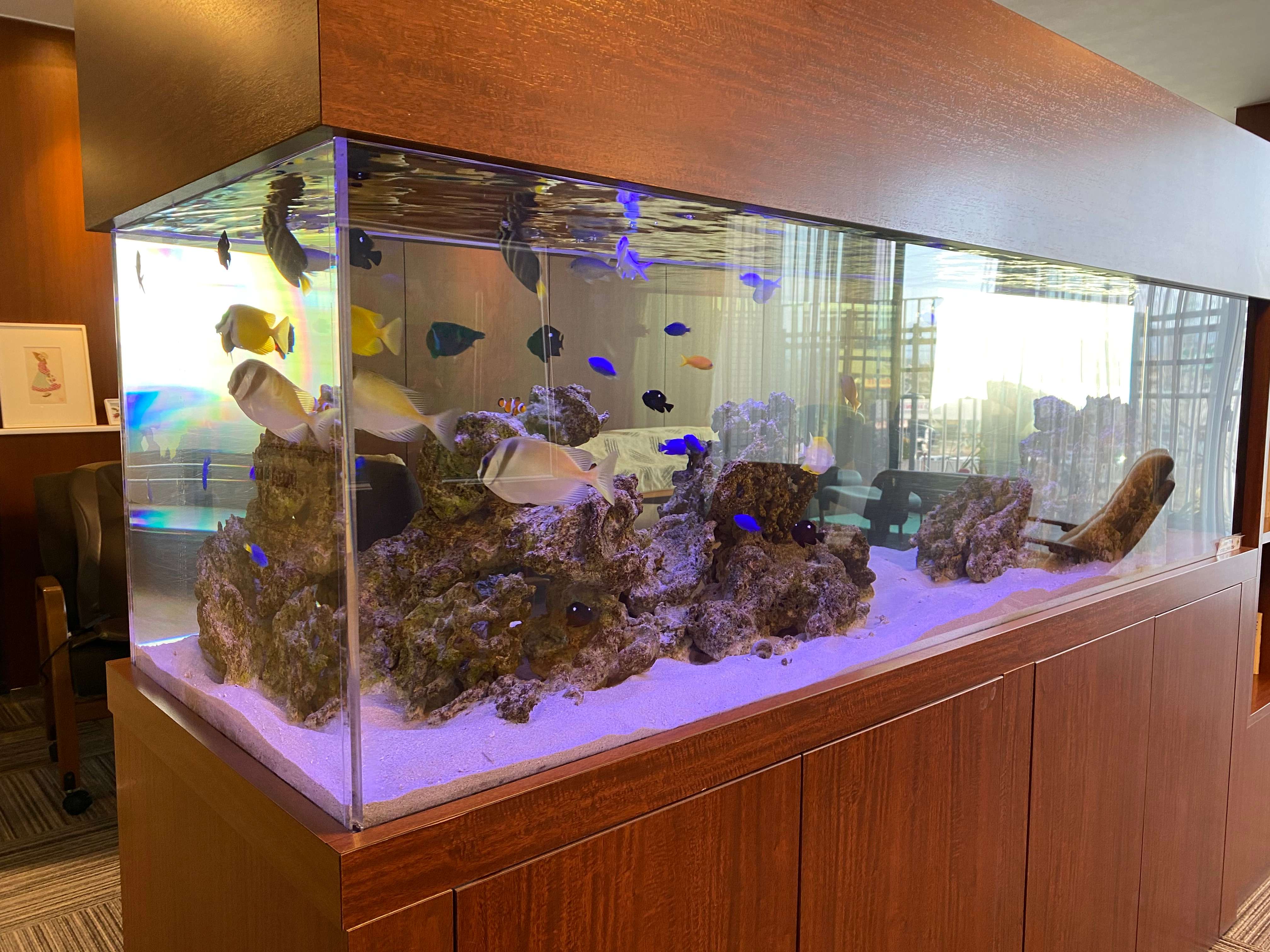 緩和ケア病棟は