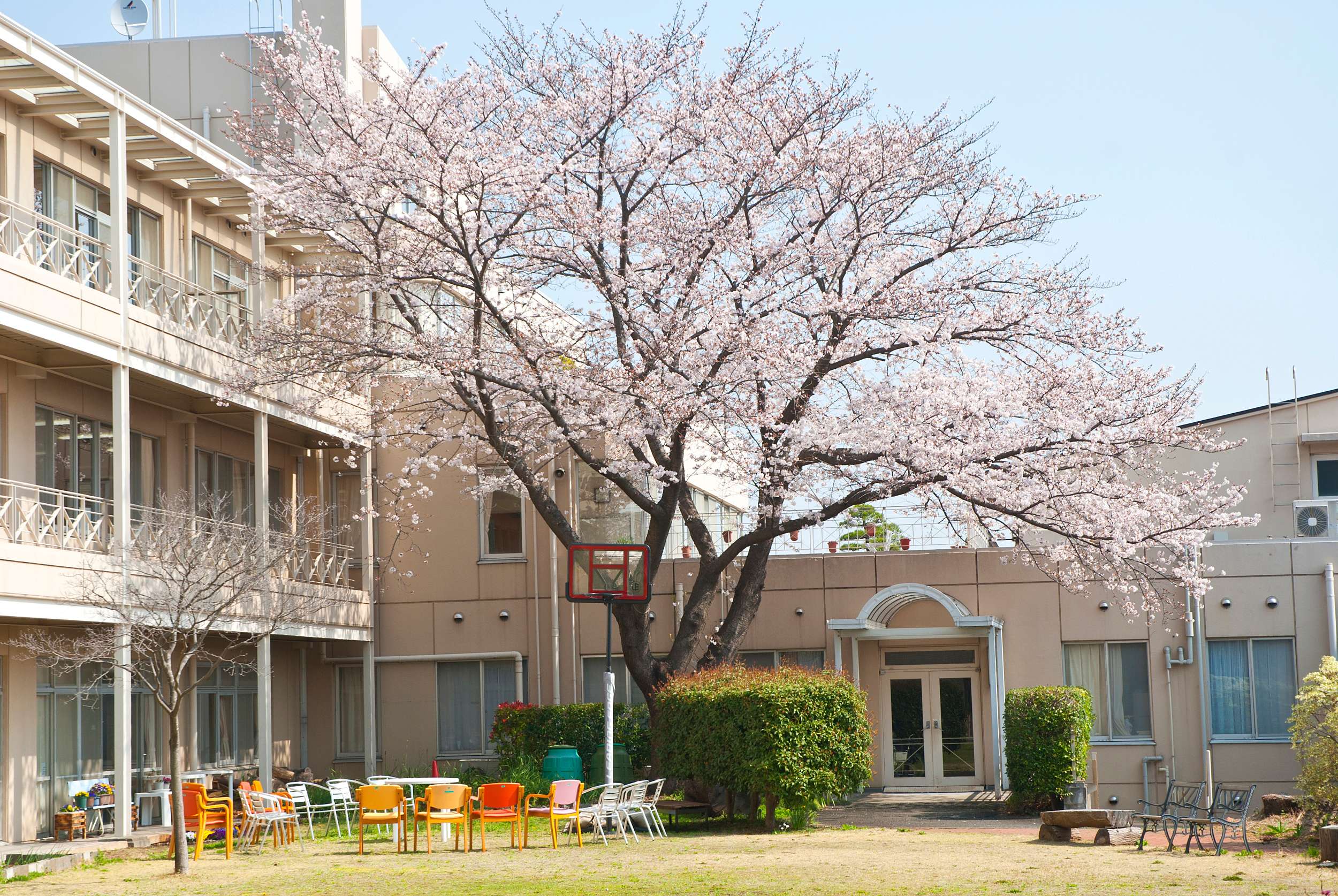 憩いの場所の中庭