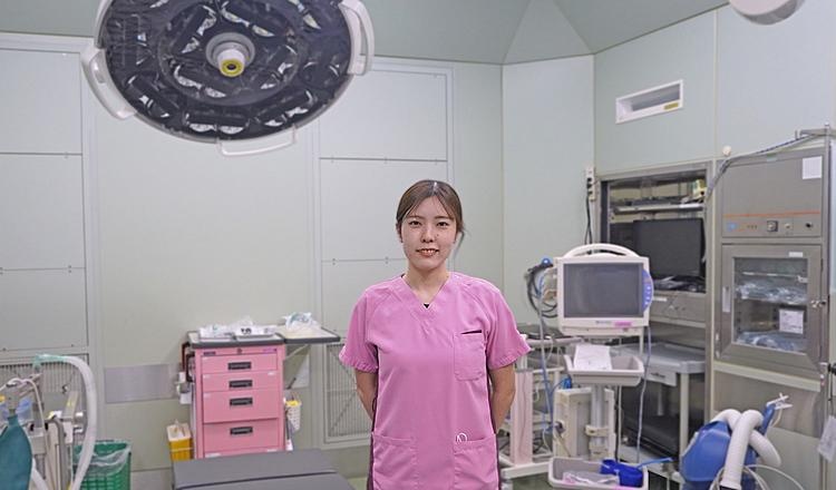手術室 看護師