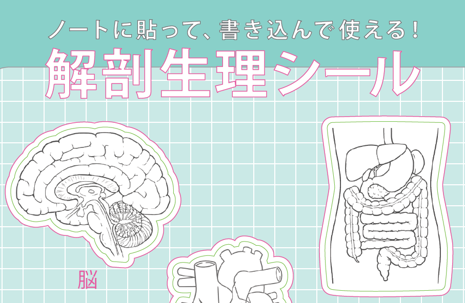 当日来場で先着50名様に『臓器シール』をプレゼント!