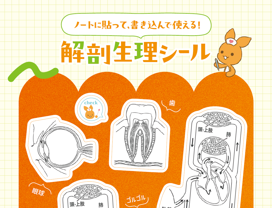 当日実施の規定条件をクリアしたら、レポート作成や授業で使える『臓器シール』をプレゼント！