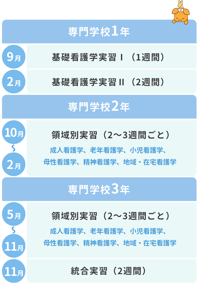 看護学生（専門学校生）のカリキュラム表。専門学校1年9月には「基礎看護学実習Ⅰ（1週間）」、2月には「基礎看護学実習Ⅱ（2週間）」、専門学校2年10月～2月・専門学校3年5月～11月には「領域別実習（2～3週間ごと）」がある。領域別実習は成人看護学、老年看護学、小児看護学、母性看護学、精神看護学、地域・在宅看護学。専門学校3年11月には「統合実習（2週間）」がある。