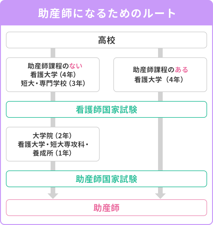 高校卒業から助産師になるまでのルート図。

ルートA： 助産師課程のある看護大学（4年）を卒業し、看護師国家試験と助産師国家試験の両方に合格して助産師になる。

ルートB： 助産師課程のない看護大学（4年）や短大・専門学校（3年）を卒業後、看護師国家試験に合格。その後、大学院（2年）や看護大学・短大専攻科・養成所（1年）を経て、助産師国家試験に合格し助産師になる。